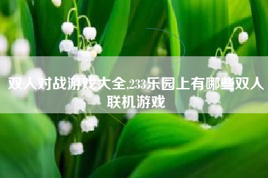双人对战游戏大全,233乐园上有哪些双人联机游戏