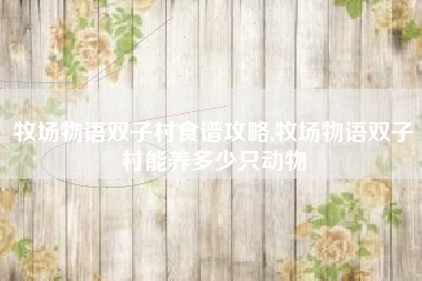 牧场物语双子村食谱攻略,牧场物语双子村能养多少只动物