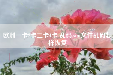 欧洲一卡2卡三卡4卡 乱码,sim文件乱码怎样恢复