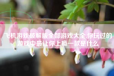 飞机游戏破解版全部游戏大全,你玩过的游戏中最让你上瘾一款是什么