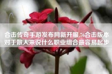 合击传奇手游发布网新开服,76合击版本对于散人来说什么职业组合最容易起步