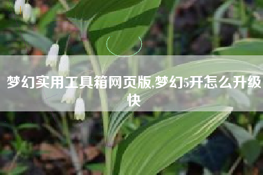 梦幻实用工具箱网页版,梦幻5开怎么升级快