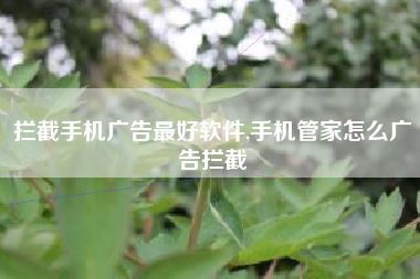 拦截手机广告最好软件,手机管家怎么广告拦截