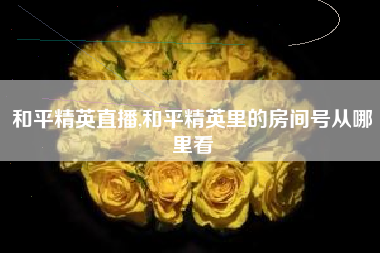 和平精英直播,和平精英里的房间号从哪里看