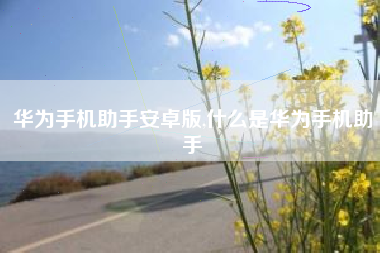 华为手机助手安卓版,什么是华为手机助手
