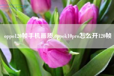 oppo120帧手机画质,oppok10pro怎么开120帧