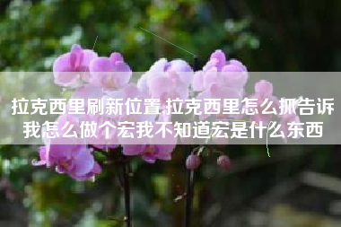 拉克西里刷新位置,拉克西里怎么抓告诉我怎么做个宏我不知道宏是什么东西