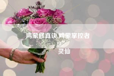 鸿蒙修真诀,鸿蒙掌控者
灵仙 鸿蒙修真诀,鸿蒙掌控者
灵仙