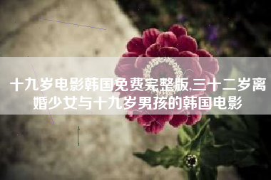 十九岁电影韩国免费完整版,三十二岁离婚少女与十九岁男孩的韩国电影