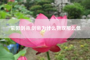 紫阳剑帝,剑帝为什么物攻那么低