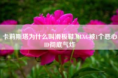 卡莉斯塔为什么叫滑板鞋,MLXG被1个恶心ID彻底气炸