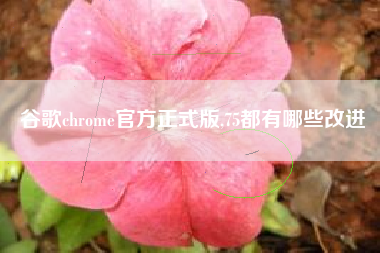 谷歌chrome官方正式版,75都有哪些改进