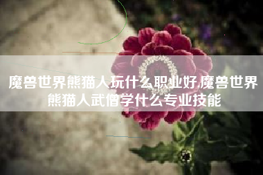 魔兽世界熊猫人玩什么职业好,魔兽世界熊猫人武僧学什么专业技能