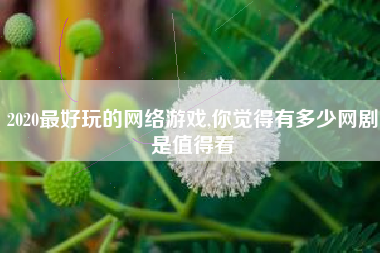 2020最好玩的网络游戏,你觉得有多少网剧是值得看