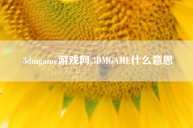 3dmgame游戏网,3DMGAME什么意思