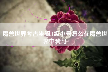 魔兽世界考古坐骑,1级小号怎么在魔兽世界中骑马