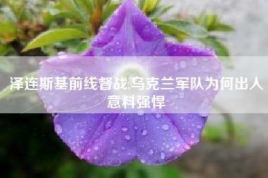 泽连斯基前线督战,乌克兰军队为何出人意料强悍