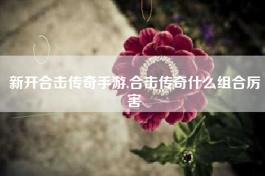 新开合击传奇手游,合击传奇什么组合厉害