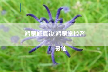 鸿蒙修真诀,鸿蒙掌控者
灵仙 鸿蒙修真诀,鸿蒙掌控者
灵仙