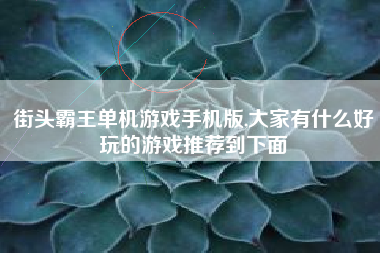 街头霸王单机游戏手机版,大家有什么好玩的游戏推荐到下面