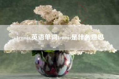 tennis,英语单词tennis是什么意思