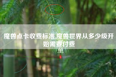 魔兽点卡收费标准,魔兽世界从多少级开始需要付费