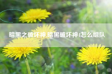 暗黑之破坏神,暗黑破坏神4怎么组队