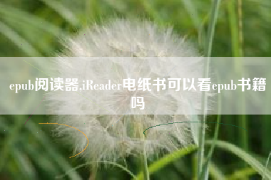epub阅读器,iReader电纸书可以看epub书籍吗