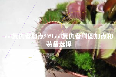 dnf复仇者加点2021,dnf复仇者刷图加点和装备选择
