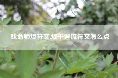 戏命师烬符文,烬千速流符文怎么点
