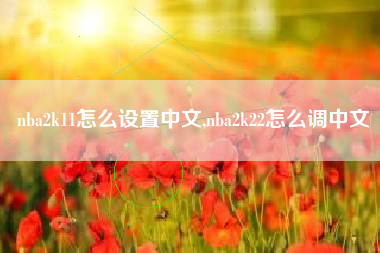 nba2k11怎么设置中文,nba2k22怎么调中文