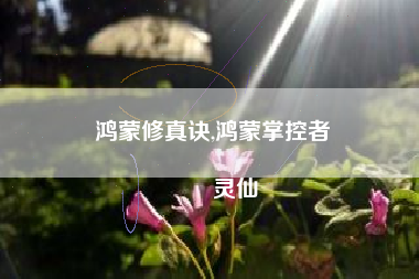 鸿蒙修真诀,鸿蒙掌控者
灵仙 鸿蒙修真诀,鸿蒙掌控者
灵仙