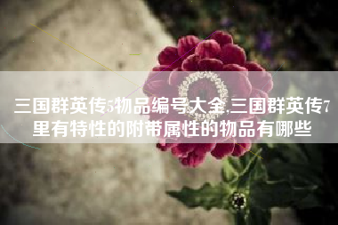 三国群英传5物品编号大全,三国群英传7里有特性的附带属性的物品有哪些