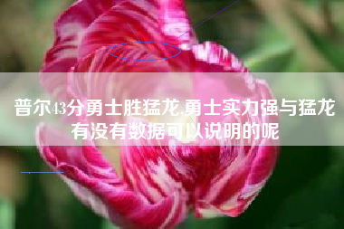 普尔43分勇士胜猛龙,勇士实力强与猛龙有没有数据可以说明的呢