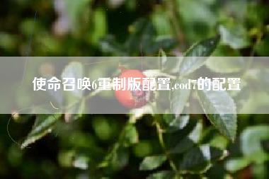 使命召唤6重制版配置,cod7的配置