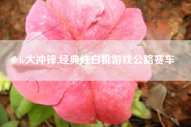 fc大冲锋,经典红白机游戏公路赛车