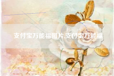 支付宝万能福图片,支付宝万能福