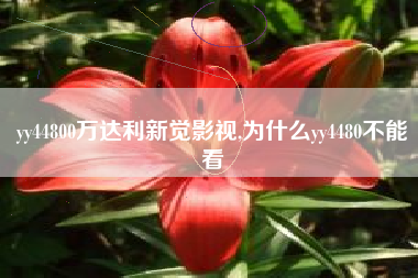 yy44800万达利新觉影视,为什么yy4480不能看