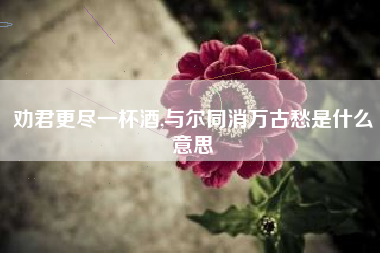 劝君更尽一杯酒,与尔同消万古愁是什么意思