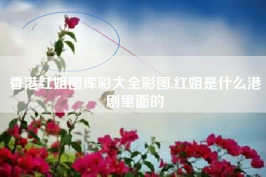 香港红姐图库彩大全彩图,红姐是什么港剧里面的