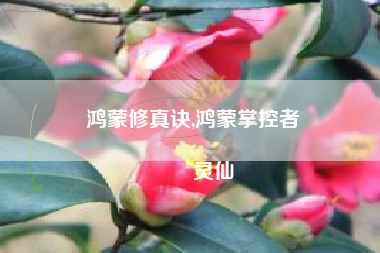 鸿蒙修真诀,鸿蒙掌控者
灵仙 鸿蒙修真诀,鸿蒙掌控者
灵仙