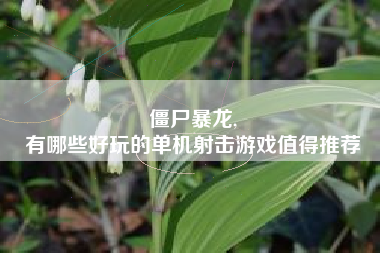 僵尸暴龙,
有哪些好玩的单机射击游戏值得推荐