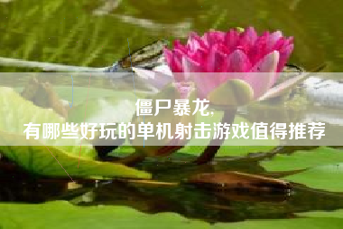 僵尸暴龙,
有哪些好玩的单机射击游戏值得推荐