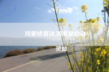 鸿蒙修真诀,鸿蒙掌控者
灵仙 鸿蒙修真诀,鸿蒙掌控者
灵仙