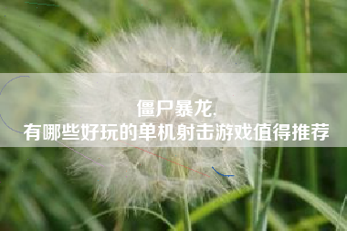 僵尸暴龙,
有哪些好玩的单机射击游戏值得推荐