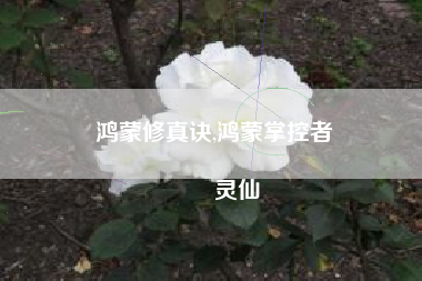 鸿蒙修真诀,鸿蒙掌控者
灵仙 鸿蒙修真诀,鸿蒙掌控者
灵仙