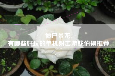 僵尸暴龙,
有哪些好玩的单机射击游戏值得推荐