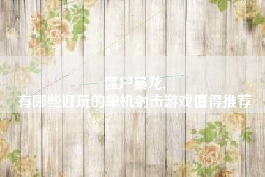 僵尸暴龙,
有哪些好玩的单机射击游戏值得推荐