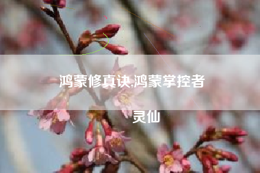 鸿蒙修真诀,鸿蒙掌控者
灵仙 鸿蒙修真诀,鸿蒙掌控者
灵仙