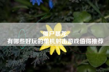 僵尸暴龙,
有哪些好玩的单机射击游戏值得推荐